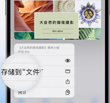 神农架apple维修中心分享iPhone文件应用中存储和找到下载文件