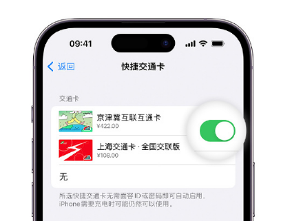 神农架apple维修点分享iPhone上更换Apple Pay快捷交通卡手绘卡面 