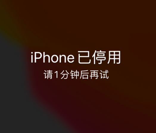 神农架苹果手机维修分享:iPhone 显示“不可用”或“已停用”怎么办？还能保留数据吗？ 