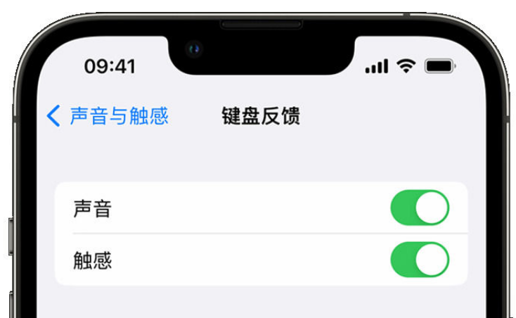 神农架苹果手机维修分享iPhone 14触感键盘使用方法 