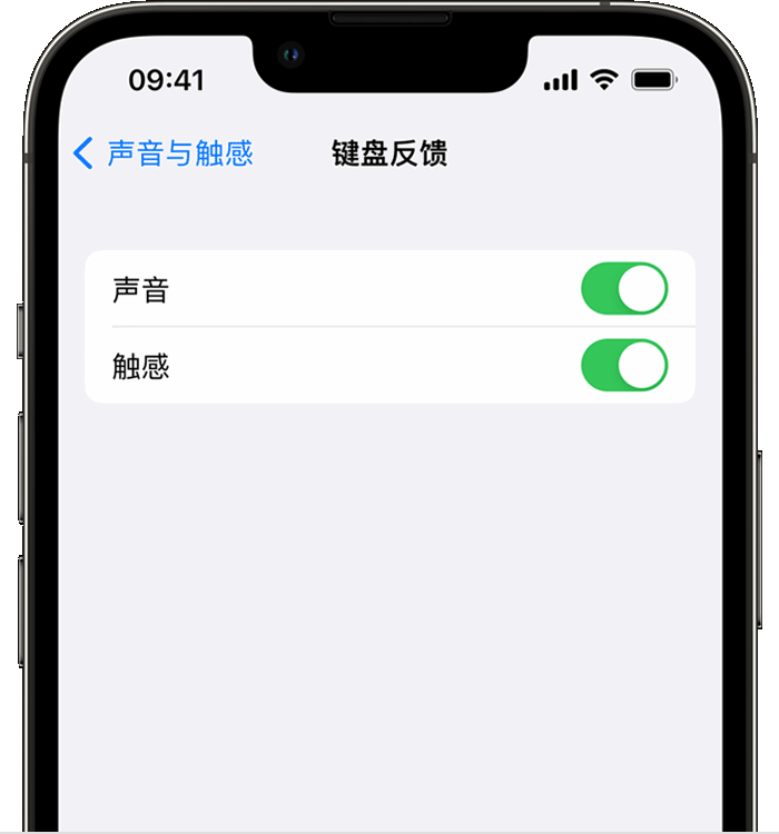 神农架苹果14维修店分享如何在 iPhone 14 机型中使用触感键盘 