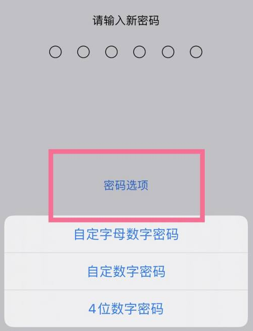 神农架苹果14维修分享iPhone 14plus设置密码的方法 