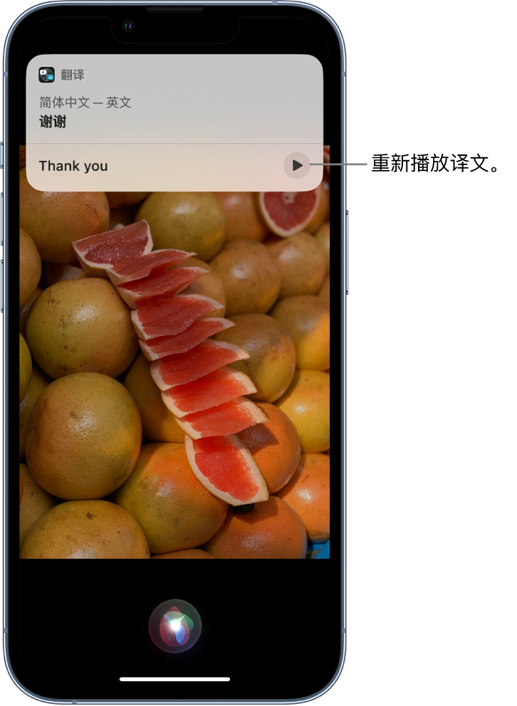 神农架苹果14维修分享 iPhone 14 机型中使用 Siri：了解 Siri 能帮你做什么 