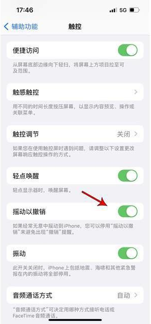 神农架苹果手机维修分享iPhone手机如何设置摇一摇删除文字 