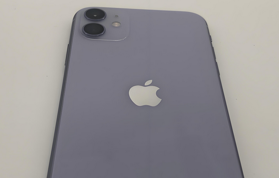 神农架苹果11系统维修分享iPhone11手机系统崩溃无法开机如何解决